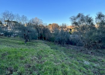 IMG-8180.jpg - Terreno agricolo Strada n'1 25, Morlupo - foto 9