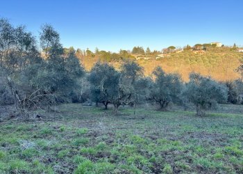 IMG-8181.jpg - Terreno agricolo Strada n'1 25, Morlupo - foto 10