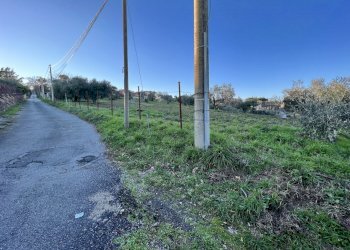 IMG-8183.jpg - Terreno agricolo Strada n'1 25, Morlupo - foto 12