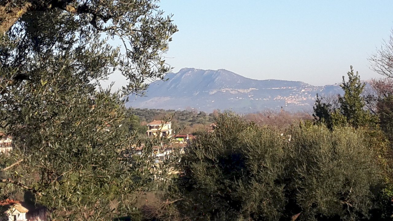 20200109_092823.jpg - Terreno edificabile Via Enzo Ferrari 5, Morlupo - foto 2