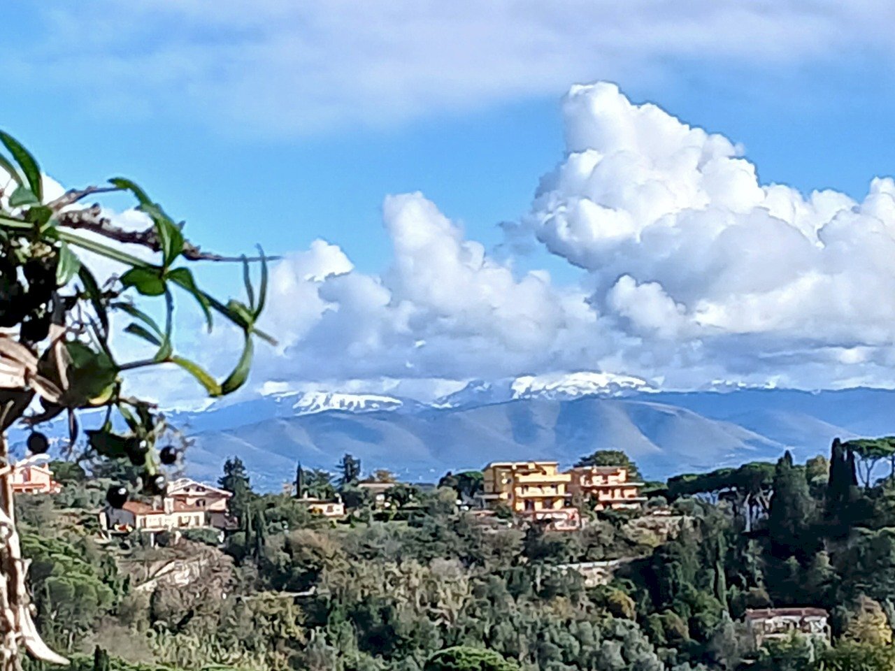 20251122_114553.jpg - Terreno edificabile Via Enzo Ferrari 5, Morlupo - foto 1