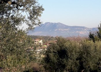 20200109_092823.jpg - Terreno edificabile Via Enzo Ferrari 5, Morlupo - foto 2