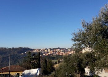 20200109_092537.jpg - Terreno edificabile Via Enzo Ferrari 5, Morlupo - foto 5