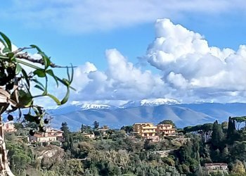 20251122_114553.jpg - Terreno edificabile Via Enzo Ferrari 5, Morlupo - foto 1