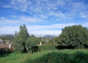 20251122_114416.jpg - Terreno edificabile Via Enzo Ferrari 5, Morlupo - foto 7