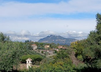 20251122_114421.jpg - Terreno edificabile Via Enzo Ferrari 5, Morlupo - foto 8