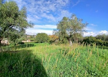 20251122_114455.jpg - Terreno edificabile Via Enzo Ferrari 5, Morlupo - foto 11