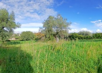 20251122_114505.jpg - Terreno edificabile Via Enzo Ferrari 5, Morlupo - foto 12