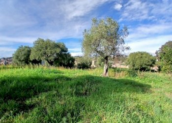 20251122_114600.jpg - Terreno edificabile Via Enzo Ferrari 5, Morlupo - foto 14