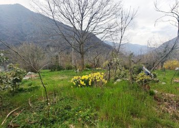 giardino - Casa semi indipendente Borgata Chialme, 23, Perosa Argentina - foto 43