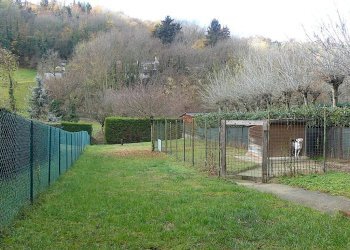 esterno - Villa via Pavarolo, Baldissero Torinese - foto 17