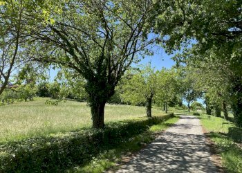 Villa strada della Rosa, 10, Chieri - foto 15