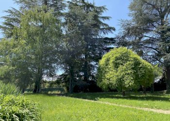 Villa strada della Rosa, 10, Chieri - foto 16