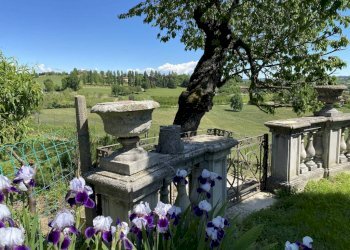 Terreno - Villa strada della Rosa, 10, Chieri - photo 12