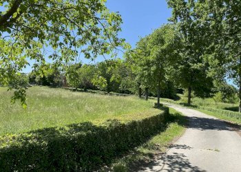 Terreno - Villa strada della Rosa, 10, Chieri - photo 15