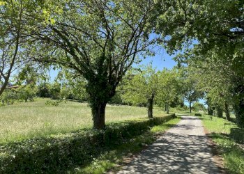 Terreno - Villa strada della Rosa, 10, Chieri - photo 16