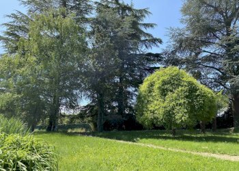 Terreno - Villa strada della Rosa, 10, Chieri - photo 17