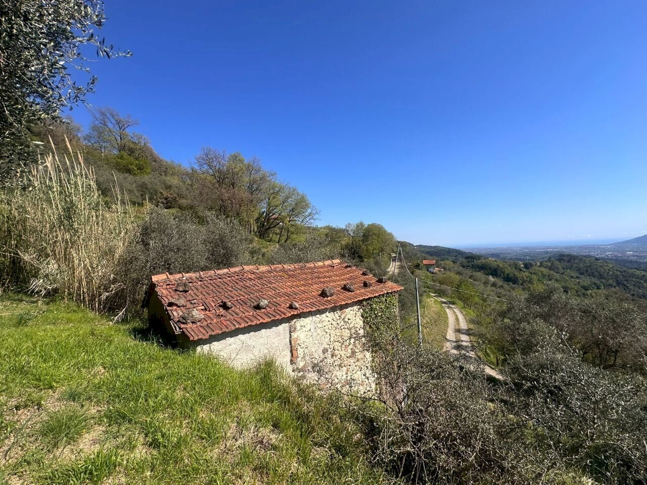 terreno9.jpeg - Terreno agricolo Santo Stefano di Magra - foto 1