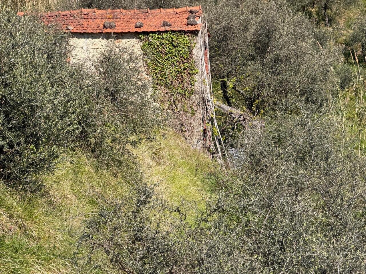 terreno6.jpeg - Terreno agricolo Santo Stefano di Magra - foto 2
