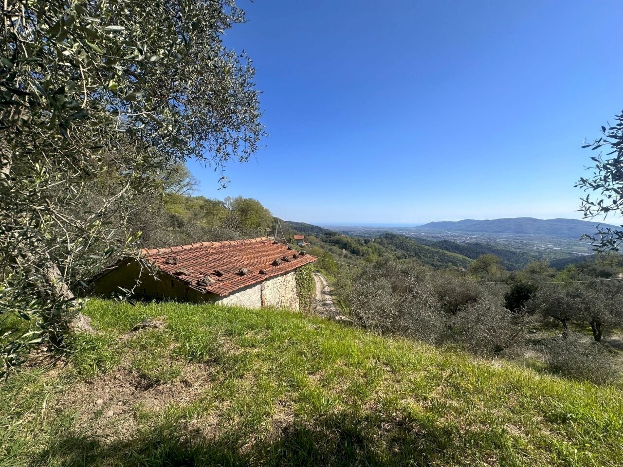 terreno7.jpeg - Terreno agricolo Santo Stefano di Magra - foto 3