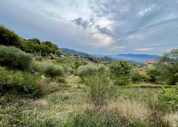 IMG_1035.JPG - Terreno agricolo Santo Stefano di Magra - foto 1