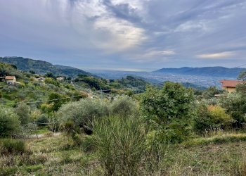 IMG_1036.JPG - Terreno agricolo Santo Stefano di Magra - foto 2