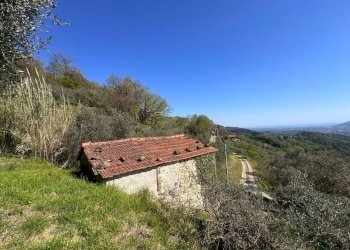 terreno9.jpeg - Terreno agricolo Santo Stefano di Magra - foto 1