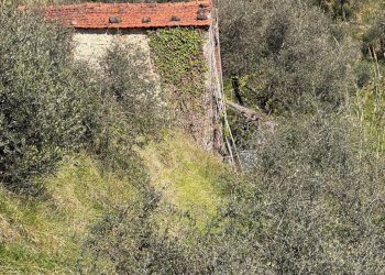 terreno6.jpeg - Terreno agricolo Santo Stefano di Magra - foto 2