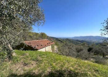 terreno7.jpeg - Terreno agricolo Santo Stefano di Magra - foto 3