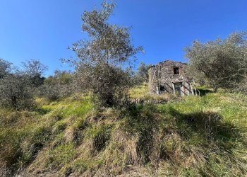 terreno10.jpeg - Terreno agricolo Santo Stefano di Magra - foto 4