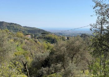 terreno 1.jpeg - Terreno agricolo Santo Stefano di Magra - foto 5
