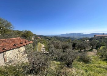 terreno - Terreno agricolo Santo Stefano di Magra - foto 6