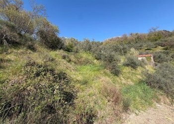 terreno5.jpeg - Terreno agricolo Santo Stefano di Magra - foto 7
