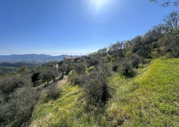 terreno8.jpeg - Terreno agricolo Santo Stefano di Magra - foto 8