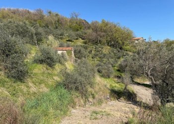 terreno2.jpeg - Terreno agricolo Santo Stefano di Magra - foto 10