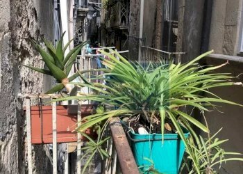 Bilocale Via dei Cordari, Siracusa - foto 12