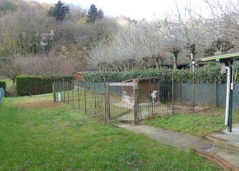 esterno - Quadrilocale via Pavarolo, Baldissero Torinese - foto 13