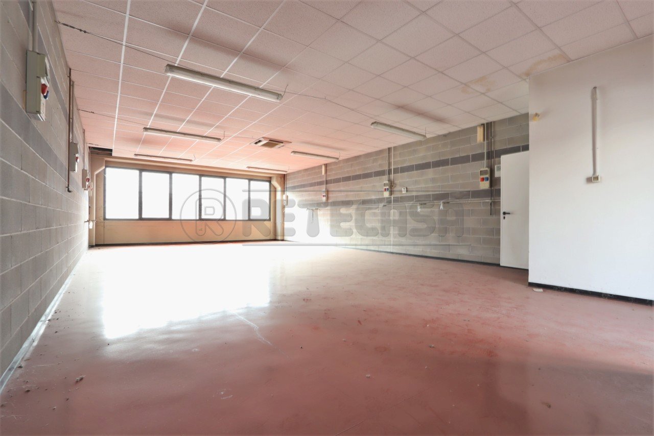 IMG_3575.JPG - Laboratorio Via Canove, Camisano Vicentino - foto 3