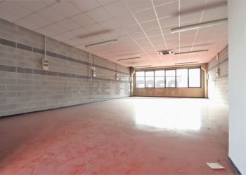 IMG_3578.JPG - Laboratorio Via Canove, Camisano Vicentino - foto 2