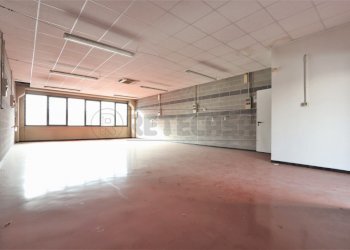 IMG_3576.JPG - Laboratorio Via Canove, Camisano Vicentino - foto 4