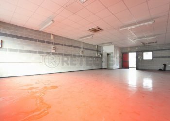 IMG_3580.JPG - Laboratorio Via Canove, Camisano Vicentino - foto 6