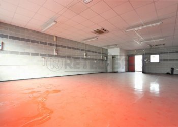 IMG_3581.JPG - Laboratorio Via Canove, Camisano Vicentino - foto 7