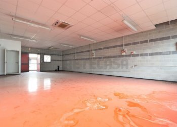 IMG_3582.JPG - Laboratorio Via Canove, Camisano Vicentino - foto 8