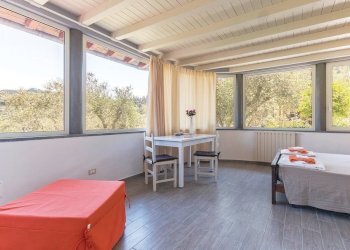 17 villa aloe 2018.jpg - Casa indipendente Camaiore - foto 18