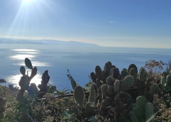 Appartamento Via Baronia, Milazzo - foto 11