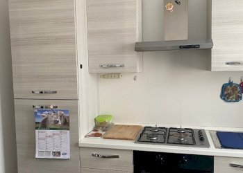 Non-buildable land Ferrara - photo 12