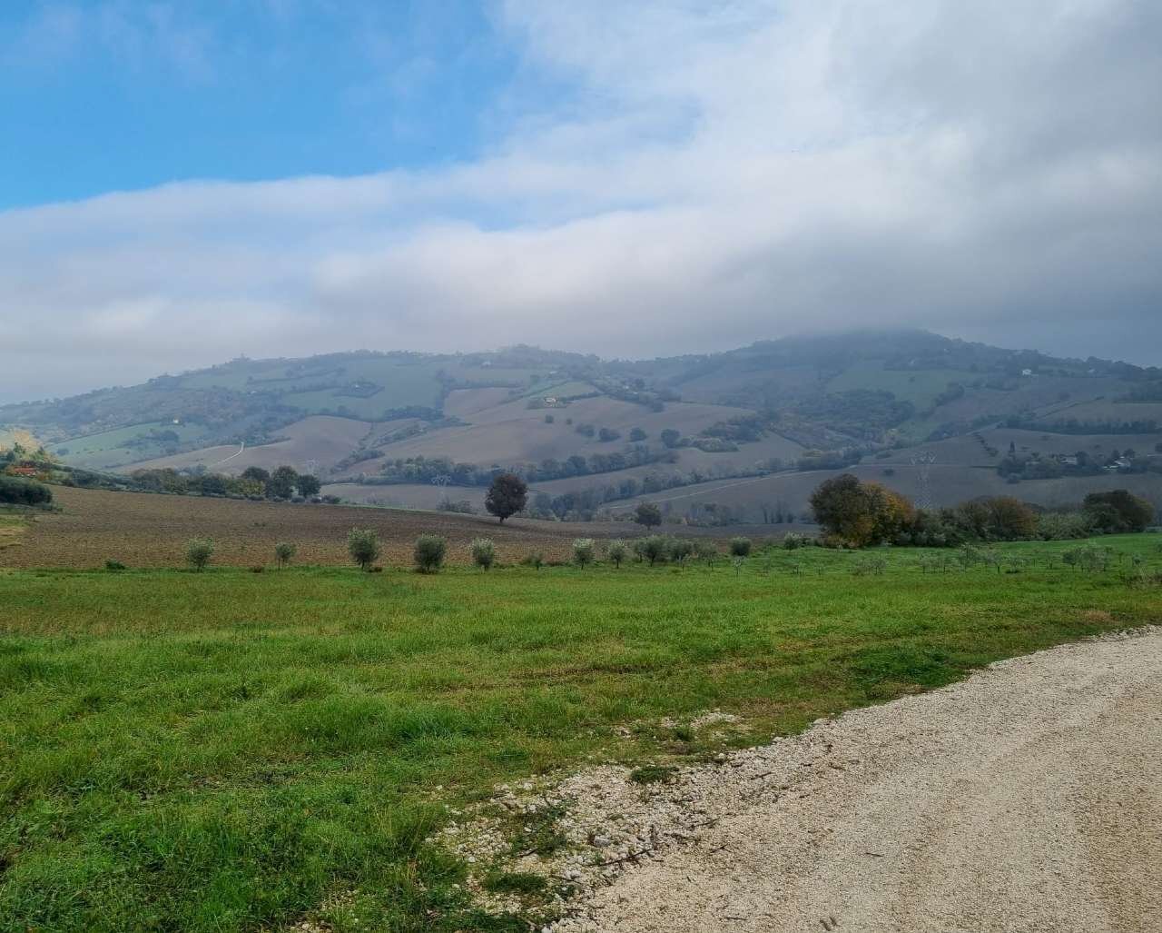 img-20221209-wa0012 - Building land Polverigi - photo 1