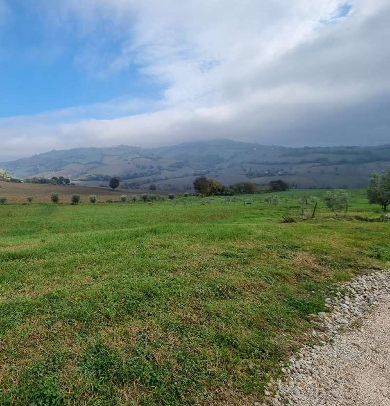 img-20221209-wa0011 - Building land Polverigi - photo 2