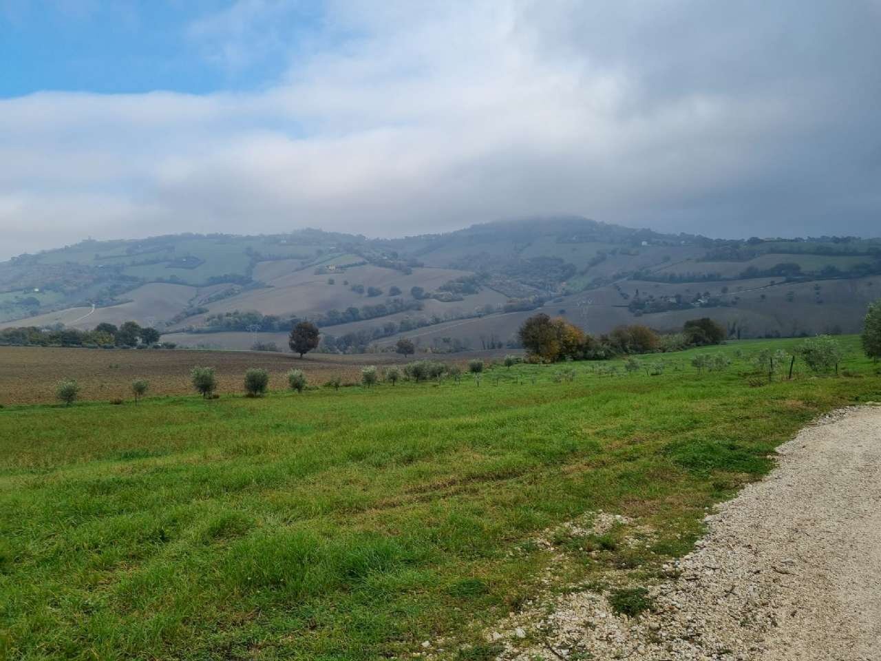 img-20221209-wa0013 - Building land Polverigi - photo 3