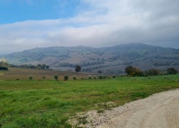 img-20221209-wa0012 - Building land Polverigi - photo 1